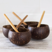 Tasse en coquille de noix de coco compostable écologique bol en coco naturel tasses pour glace et service de nourriture expédition accepter