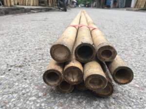 โรงงานเวียดนามจำหน่ายเสาไม้ไผ่ธรรมชาติสำหรับงานเกษตรและการก่อสร้าง - Product Image 3