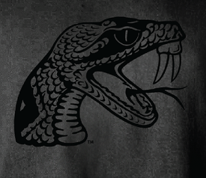 Personalizado de alta calidad FAMU Florida A & M Sudadera con capucha Vintage estilo colegial comodidad durabilidad para invierno otoño frente impreso Tie Dye - Product Image 2