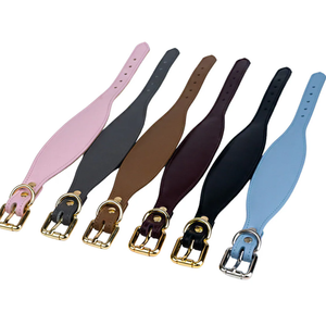 Collar de perro sabueso de cuero verde de alta calidad para galgo y Whippet - Product Image 4