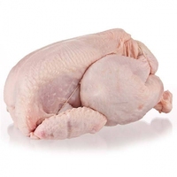 Poulet Halal Congelé Prix Usine Poulet Entier Partie Grasse Processus BQF Sans Gras Trans 50kg à Vendre
