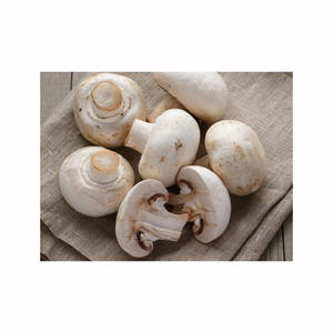เห็ดเพื่อสุขภาพสีขาวสดและแห้งจากออสเตรีย - Product Image 2