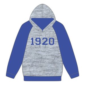 Année de fondation 1920 Zeta Phi Beta gris corps bleu manches raglan pull à capuche vêtements de sororité personnalisé Divine Nine HBCU - Product Image 2
