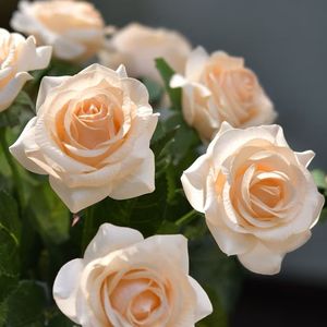 5つの茎のパックリアルタッチアプリコットローズシルク造花花びら新鮮なバラのように感じて見える結婚式のブライダルの家の装飾