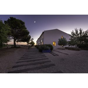 Aromas Especial Halloween en Finca Antigua Bodega Guiada Visitas & Visitas - Product Image 2