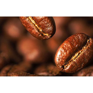 Grains de café Robusta de qualité supérieure en vrac Vente en gros Haricots Robusta verts biologiques Fournisseurs de qualité d'exportation dans le monde entier - Product Image 6