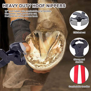 Kit d'outils de maréchal-ferrant en acier inoxydable durable pour l'entretien des chevaux - Product Image 3