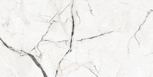 DLG - 34 Carreaux Brillants 60x120cm Carreaux Porcelaine Premium pour Mur & Sol Elégant & Luxueux Pour Intérieurs Elégants 600x1200mm - Product Image 4