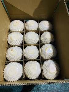 Noix de coco en forme de diamant tendre fraîche du Vietnam jeune noix de coco juteuse qualité d'exportation - Product Image 3