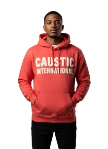 OEM Manufacturer Heavyweight Custom 3D Puff Print Hoodie Men 500GSM Thick Fleece Oversized Blank Drop Shoulder Sweatshirt - Product Image 1