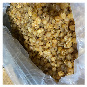 El mejor longan seco de Vietnam, longan seco de alta calidad con aroma dulce natural hecho de fruta madura sin aceite sin grasa para exportación - Product Image 1