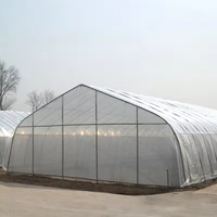 10x30m Légumes Tomate Tunnel Gothique Serre Polycarbonate Galvanisé cadre en acier Film Personnalisé Serre Agricole Kit