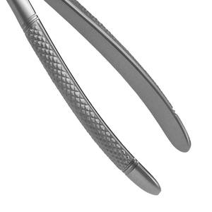 Lustra 22 Forceps d'extraction, instrument de chirurgie dentaire et buccale, acier inoxydable, manuel, certifié CE, classe I - Product Image 6