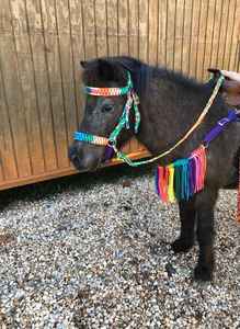 Collier de poitrine et tête à franges arc-en-ciel ensemble de punaises de cheval équestre en cuir de vachette véritable ensemble de punaises de cheval de luxe - Product Image 3