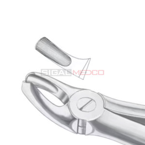 คีมถอนฟันที่มีฟันกรามบน18ซี่มีขนาดแตกต่างกันขายส่ง - Product Image 6