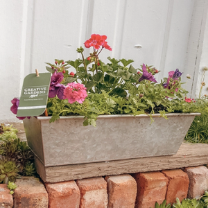 Jardinière de ferme moderne en zinc galvanisé Jardinières modernes en métal Fournitures de jardin Jardinière en fer Petit et grand décoratif Pas cher - Product Image 5