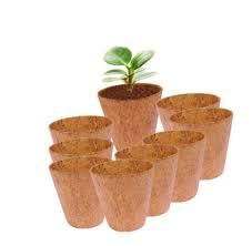 Fibra de coco natural al por mayor alternativa a la maceta de turba para jardines inteligentes - Product Image 5