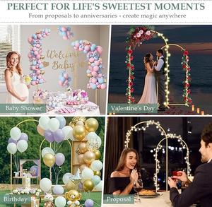 Metal <b>Balloon</b> <b>Arch</b> kit Wedding Backdrop Stand Decorations Wrought Background <b>for</b> Party Flower Rack Anniversary & Birthday Frame - Product Image 2