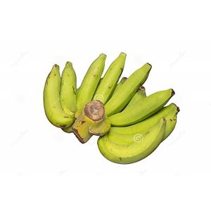 Plátanos verdes orgánicos frescos cultivados en granja y listos para exportación de fruta natural de plátanos maduros - Product Image 3