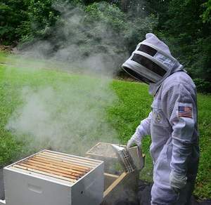Traje de abeja de 3 capas con velo de esgrima Un par de guantes Traje de apicultura ventilado a prueba de picaduras - Product Image 1