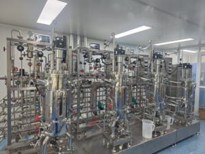 เครื่องปฏิกรณ์เคมีสำหรับหมักอาหารวัคซีน30L-300L เครื่องปฏิกรณ์ชีวภาพเครื่องปฏิกรณ์ BLBIO-SJA - Product Image 6