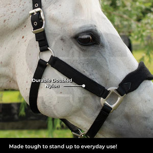 2026 Dernier modèle de licol pour cheval en cuir de qualité supérieure et durable, personnalisable avec plaque nominative, fait main, avec muserolle rembourrée souple et couronne - Product Image 6