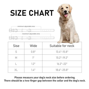 Collier de chien élégant de qualité supérieure, collier de chien artisanal, design simple et luxueux, pour petits et grands chiens, durable, respirant, écologique - Product Image 6
