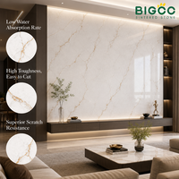 Harga Pabrik 1600x3200x12mm Batu Sintered untuk Dinding Latar TV Pengiriman Cepat