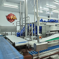 Équipement d'abattage de porcs 450 unités par service, ligne de machines d'abattage de porcs, machinerie de boucherie porcine, atelier de transformation du porc USDA