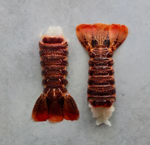 Langostas Tristán Congeladas de Primera Calidad, Mariscos Frescos Enteros para Compradores Mayoristas y Distribución Minorista - Product Image 5