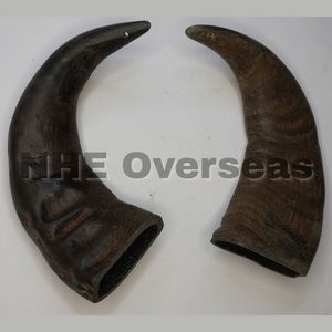 Friandise saine durable de qualité supérieure de chien de corne de buffle de longue durée pour les chiots et les chiens adultes sûrs et nutritifs - Product Image 5