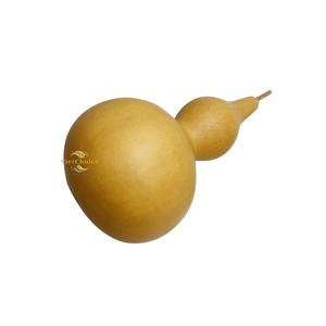 Calabazas Secas Naturales para Manualidades, Decoración Creativa Hecha a Mano, Oferta al por Mayor - Product Image 1
