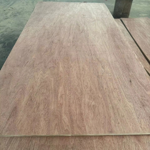 Vietnam Factory Premium Bintangor Face Plywood for Interior Cabinet with Eucalyptus Core - Product Image 4