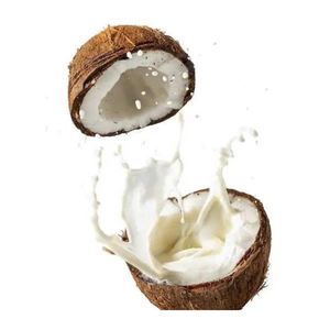 Lait de coco congelé du Vietnam utilisé dans la cuisine et l'industrie alimentaire Lait de coco congelé pour l'exportation mondiale - Product Image 6