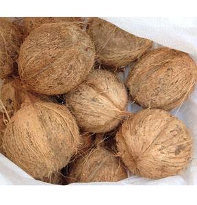 La noix de coco Mature de la spécialité Ben Tre contient de nombreux nutriments sains 100% noix de coco naturelle du Vietnam - Product Image 6