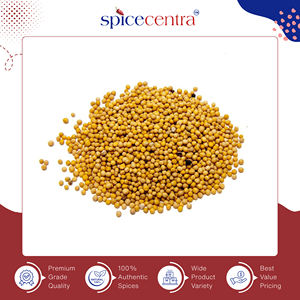 Vente mondiale en gros, prix de gros, épices uniques de haute qualité, naturelles, brutes, séchées, moutarde entière, durée de conservation de 12 mois, marque Spicecentra - Product Image 3