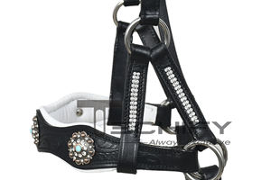 Juego de cabeza y cuello de pecho de cuero Argentino tallado occidental Premium ligero, elegante y de temporada para equitación ecuestre - Product Image 2