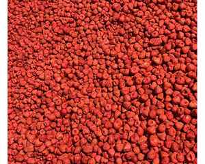 Fraises lyophilisées du Vietnam pour les entreprises mondiales de snack disponibles en vrac Fraises lyophilisées par 99GD - Product Image 1