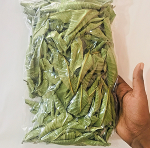 Hojas de Guayaba para Té Herbal // Hojas de Guayaba Secas Naturales de Vietnam // Sra. Beatrix - Product Image 5