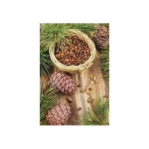 Top Selling 100% Pure Natural Pine Nuts Good Quality AA Grade Raw Food Organic Cultivation for <b>Biscuit</b> Fried Snacks - Product Image 6