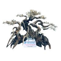 Vente chaude-Arbre bonsaï exquis de haute qualité pour plantes d'aquarium et accessoires en gros