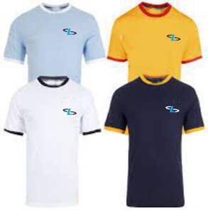 Polos de talla grande para hombre, camiseta con logotipo estampado personalizado, Camiseta extragrande lavada con ácido de algodón pesado GSM 250 - Product Image 1