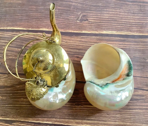 Verre à boire de coquillage de style côtier pour la décoration intérieure et les célébrations thématiques - Product Image 3