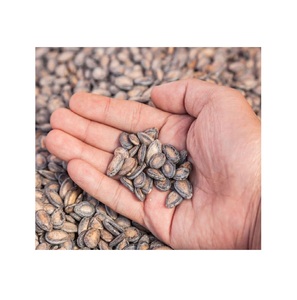 L'usine fournit directement des graines de pastèque grillées disponibles à la vente - Product Image 4