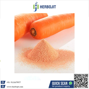 Herbojit, el Último Producto del Proveedor Confiable, Polvo de Zanahoria Puro y Natural de Grado Alimenticio Internacional, Secado por Aspersión, 25 KG, Aditivos Alimentarios - Product Image 6