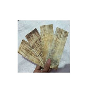 Placa de cuerno y cuerno de búhos de agua, forma rectangular, Marco óptico, 100% - Product Image 1