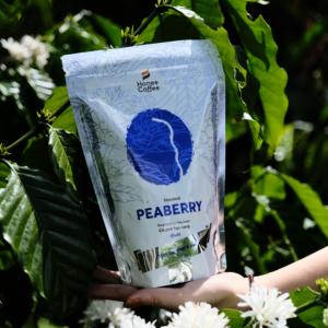 เมล็ดกาแฟคั่ว Peaberry/culi กาแฟชนิดพิเศษที่มีรสชาติเข้มข้นรสชาติเข้มข้นและบรรจุภัณฑ์ที่หลากหลาย250กรัม, 500กรัม, 1000กรัม - Product Image 3