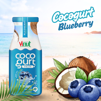 Meilleures boissons de jus de noix de coco et de myrtilles 280ml-Échantillon gratuit de boissons à faible quantité minimale de commande de marque privée OEM ODM