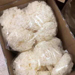 Hongo Tremella Deshidratado, Hongo de Nieve Tremella, Akina - Product Image 3