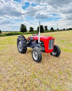 รถแทรกเตอร์ดีเซลแท้ Massey Ferguson MF 35 ปี 1958 ใหม่และมือสอง สำหรับฟาร์มขนาดเล็ก สวนผลไม้ และงานสวน - Product Image 1